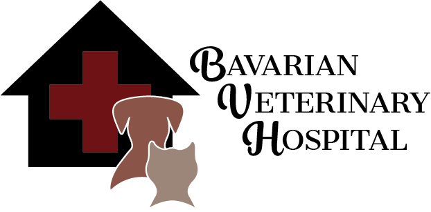 bavarian animal hospital logo